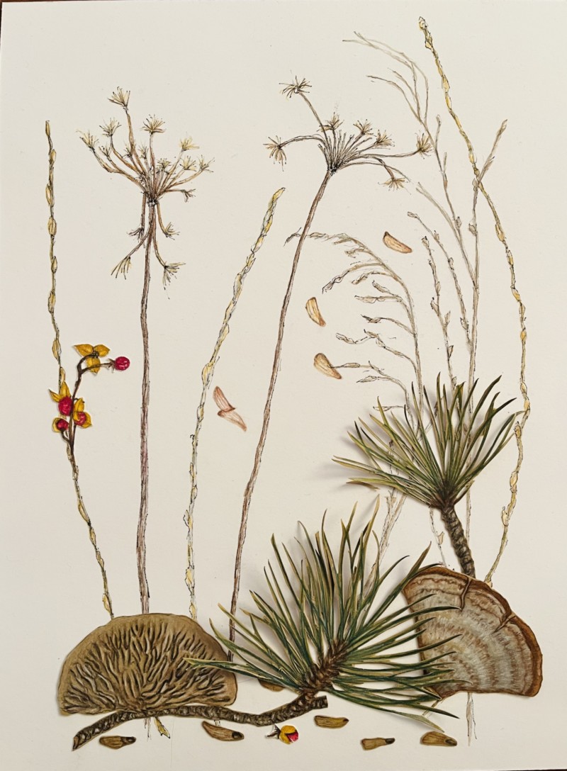 winter-finds-still-considering