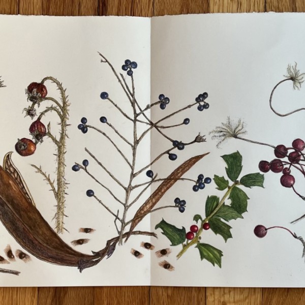From accordion journal workshop 