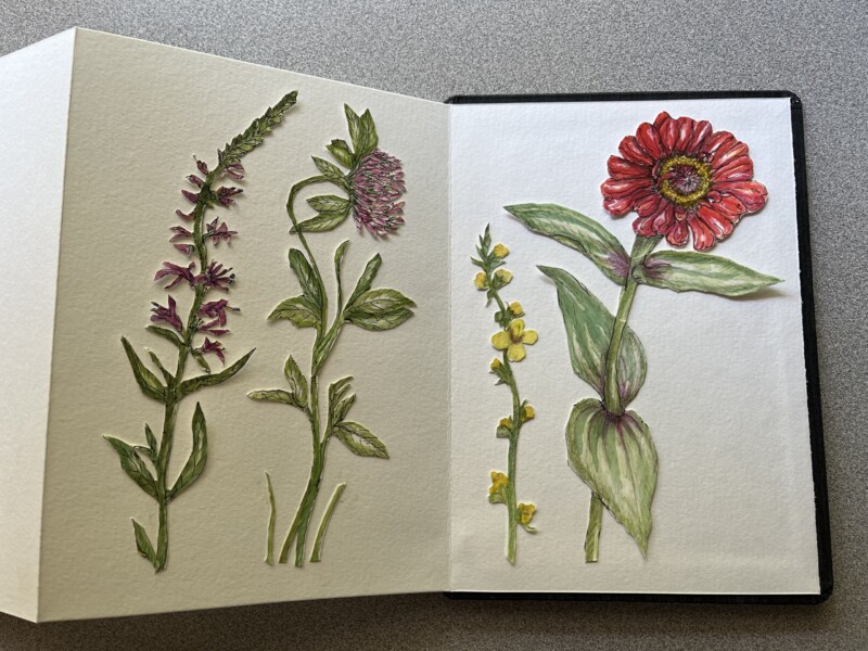flowers-and-weeds