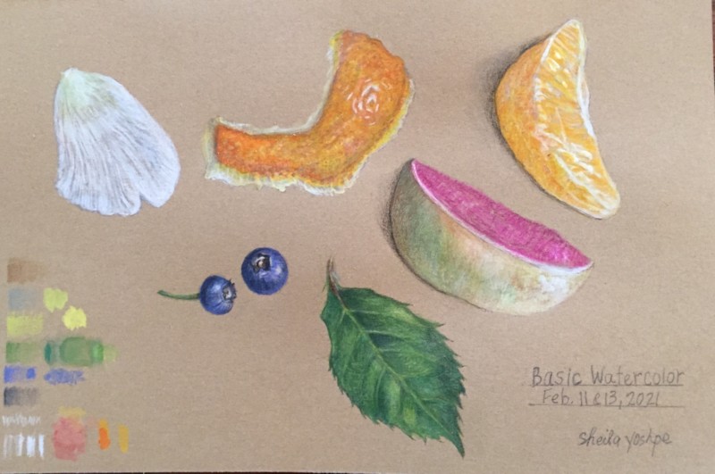 studies-for-basic-watercolor-class-pencil-on-top