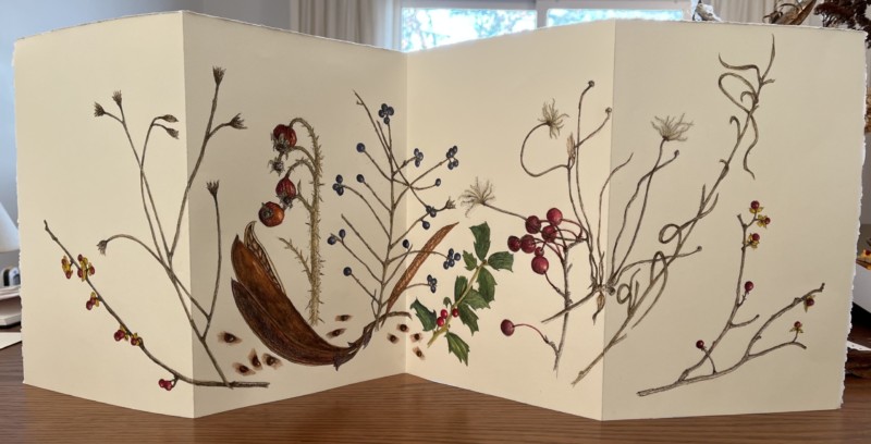 from-accordion-journal-workshop-standing