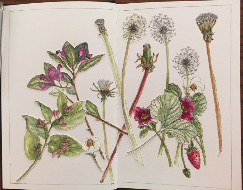 red-white-and-green-study