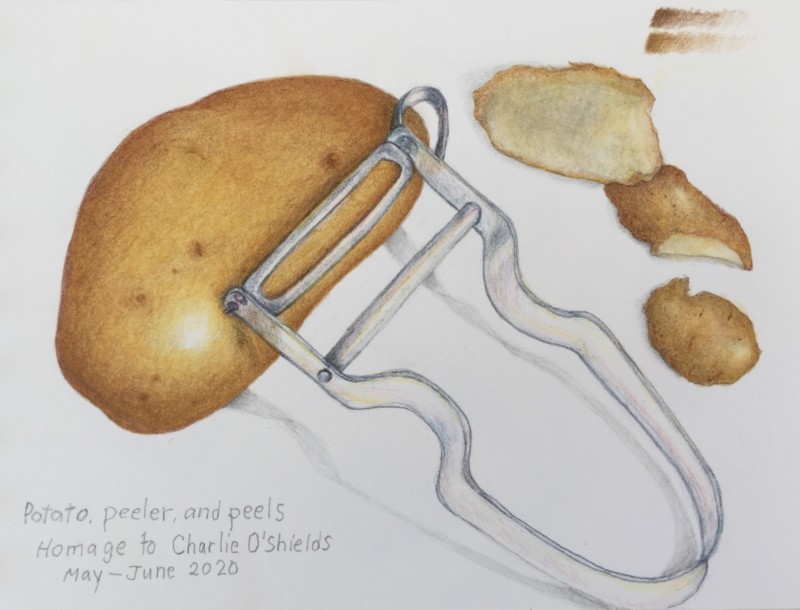 potato-peeler-and-peels