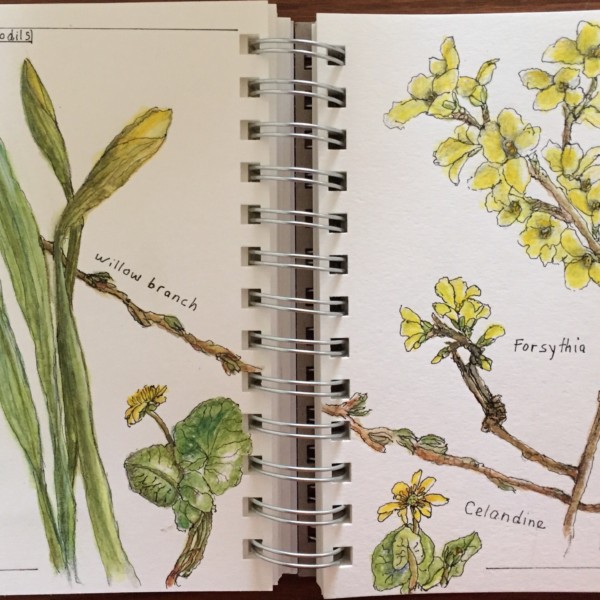 Sketchbooking, yellows 