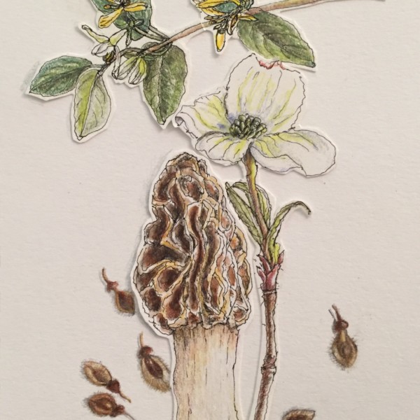 May finds, drawn and collaged 