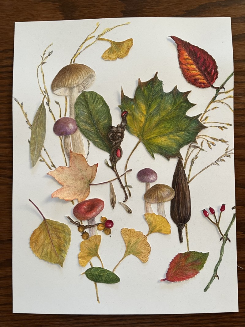 still-moving-two-leaves-on-far-left-around-and-rosehip-berries-on-bottom-right