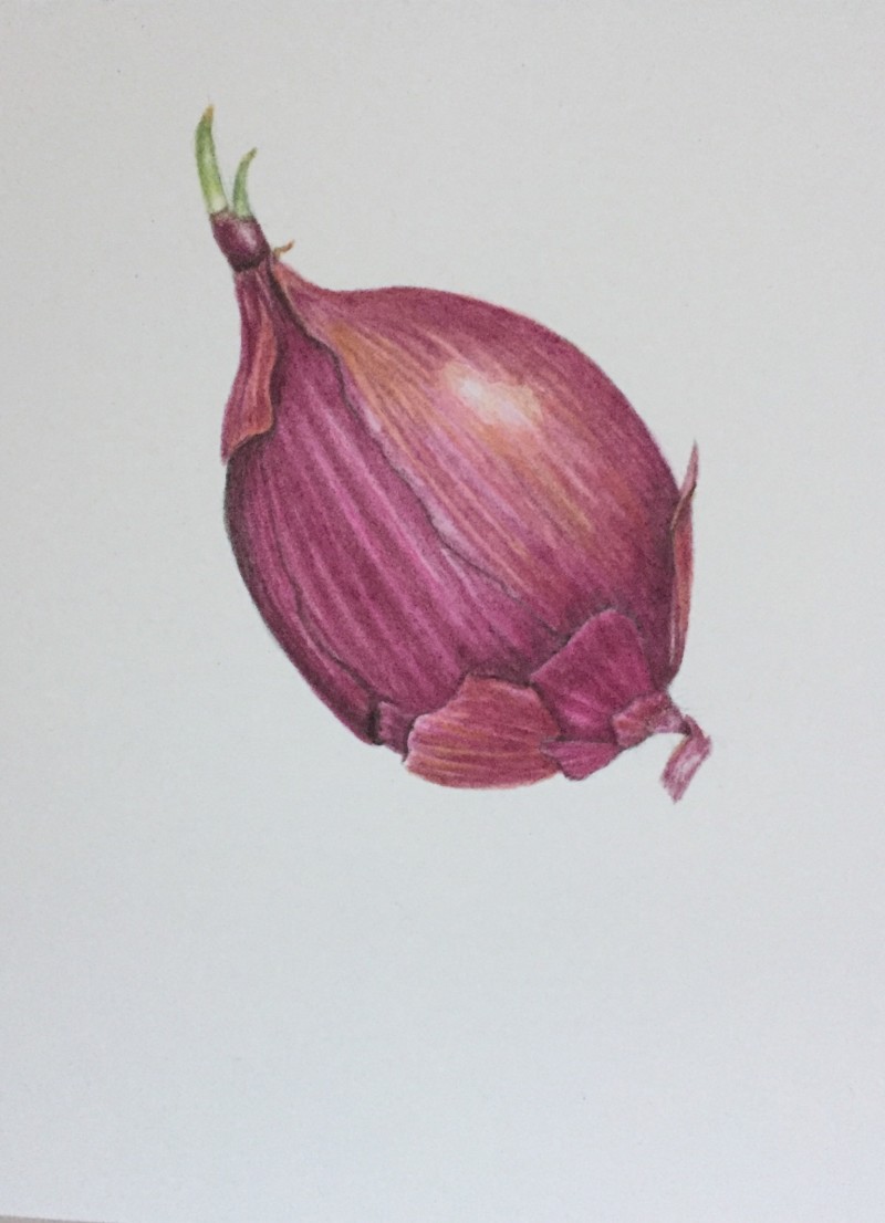 red-onion-3