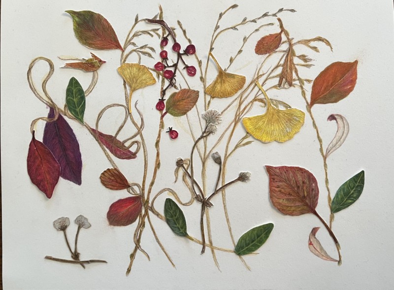 fall-garden-some-changes-in-center-area