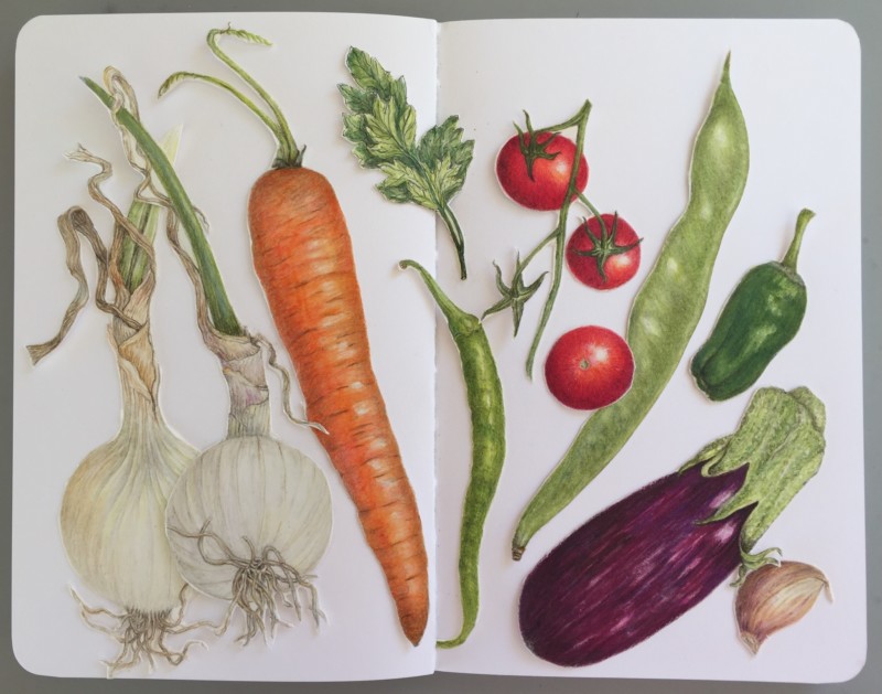 vegetable-medley