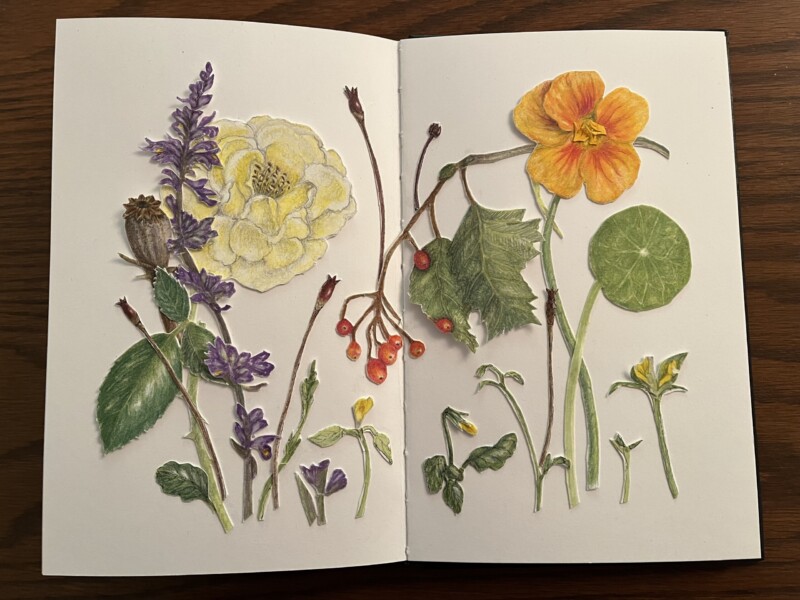four-seasons