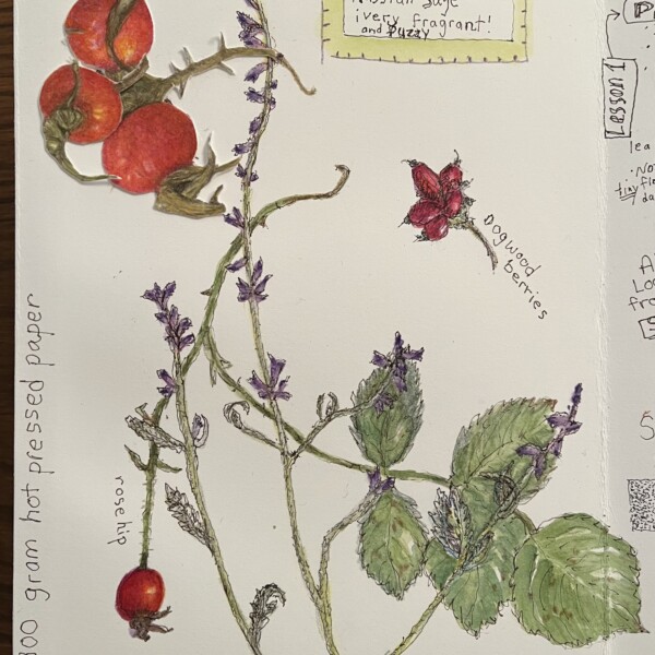 Accordion journal workshop page additions