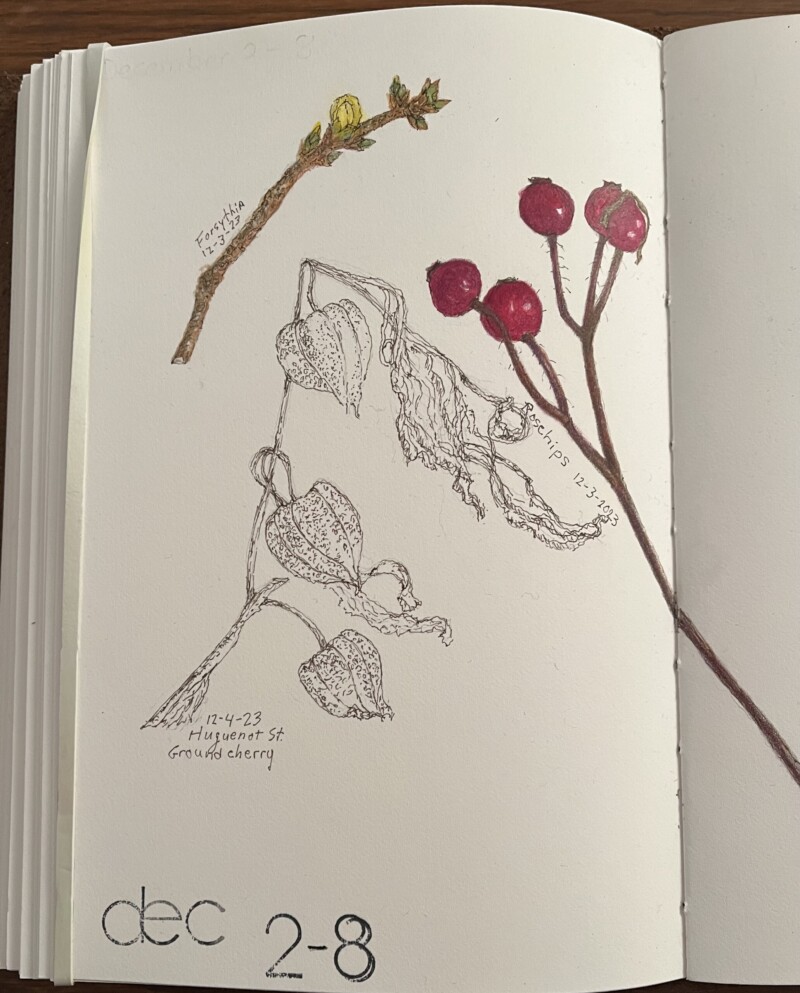 first-week-of-new-perpetual-journal