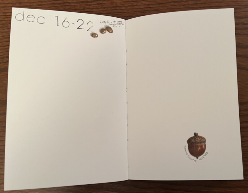 3rd-week-of-perpetual-journal