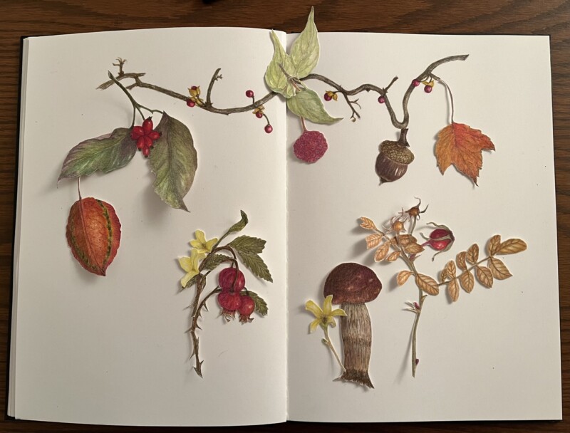 winter-ceremony-in-progress
