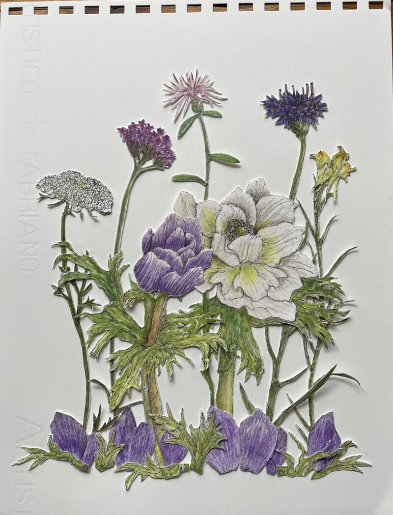 anemones-and-friends-2