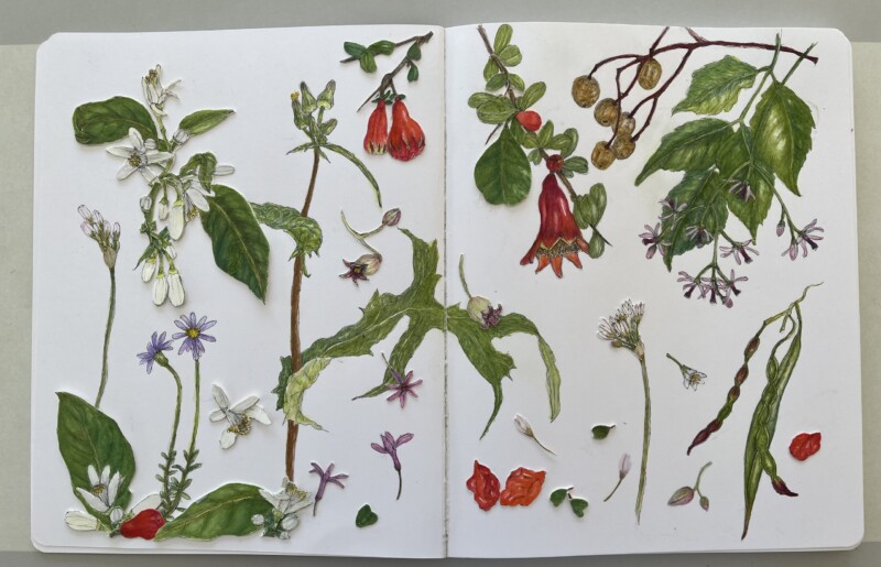 latest-version-with-a-few-more-buds