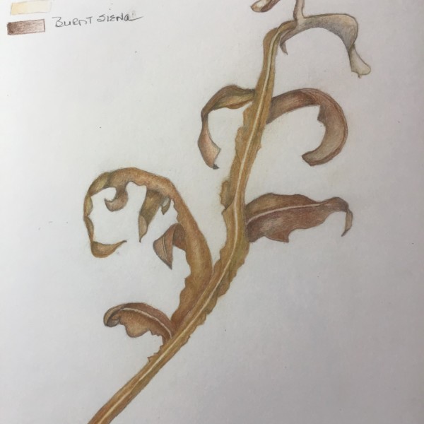 B0526A22-F754-454A-A0AB-2D3A24ABAFB3