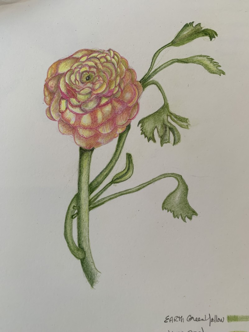 image-96
