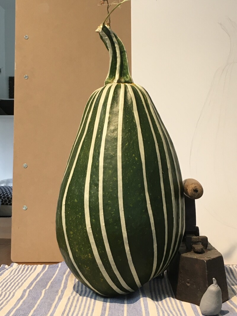 squash-reference