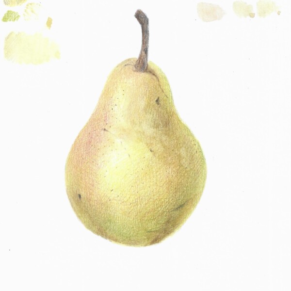 Pear