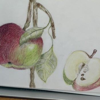 apple-with-slice_2026_rachel-trachten