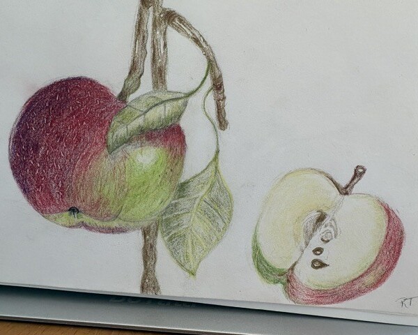 Apple with slice_2026_Rachel Trachten