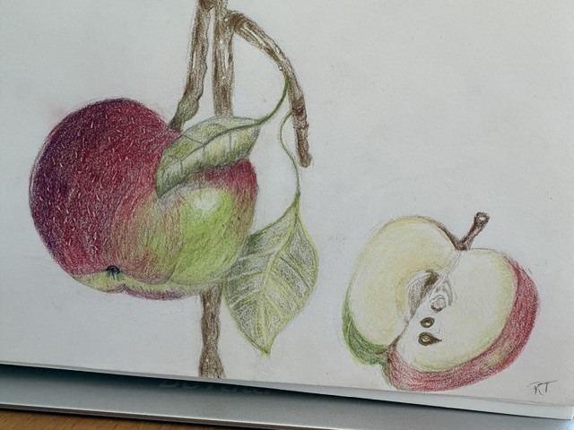 apple-with-slice_2026_rachel-trachten