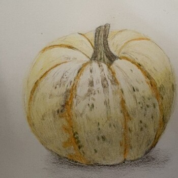 mini-pumpkin_rachel-trachten