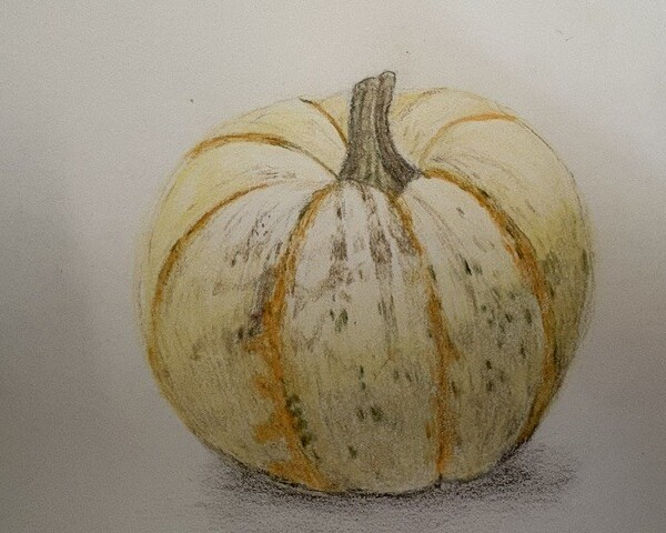 Mini Pumpkin_Rachel Trachten