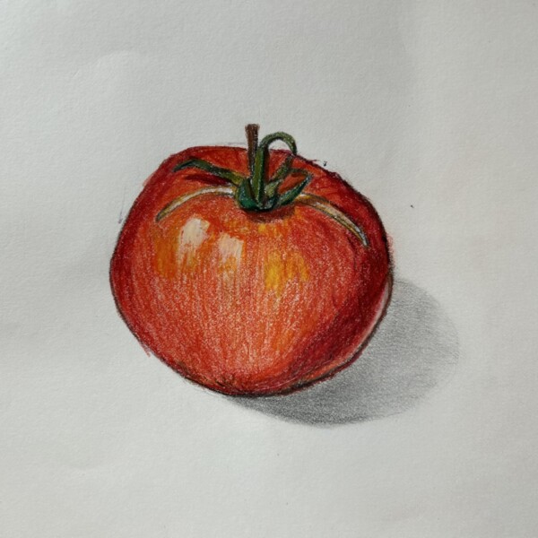 Tomato, pencil, watercolor and pastel on cold pressed paper