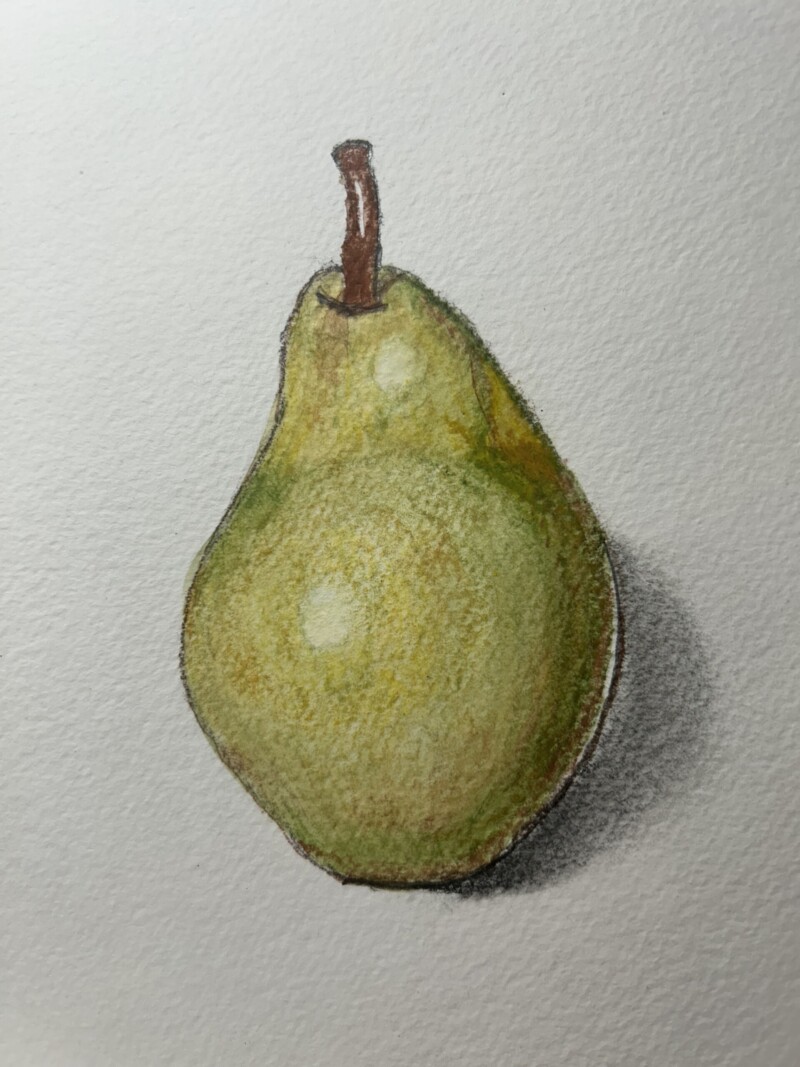 bartlett-pear-pencil-and-watercolor