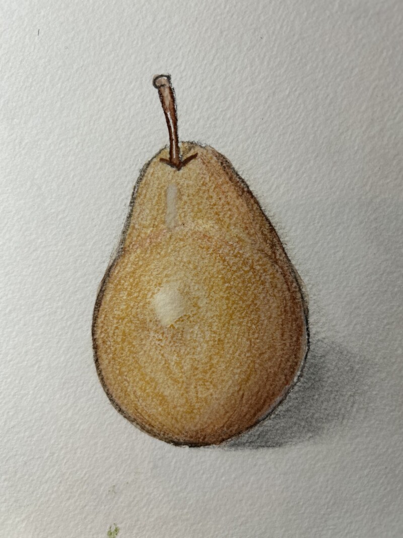 pear-pencil-and-watercolor-on-cold-pressed-paper