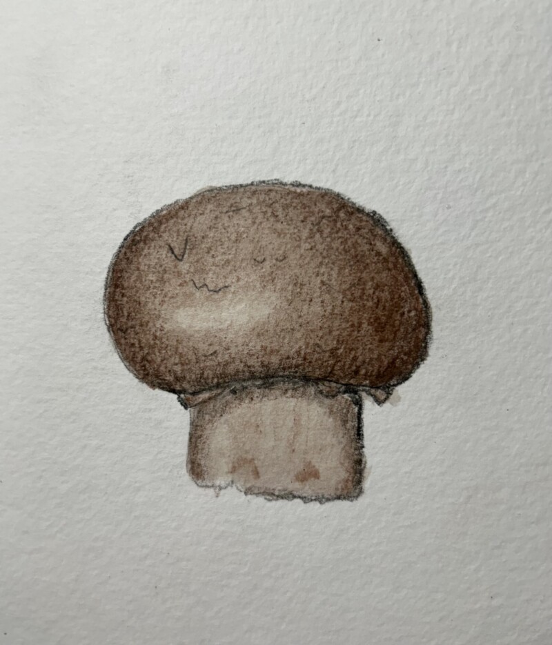 mushroom-pencil-and-watercolor