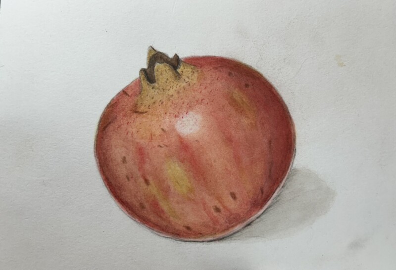 pomegranate-pencil-and-watercolor