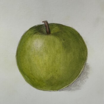 granny-smith-apple-pencil-and-watercolor