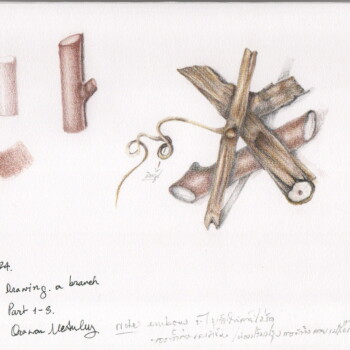 lesson-1-draw-branches