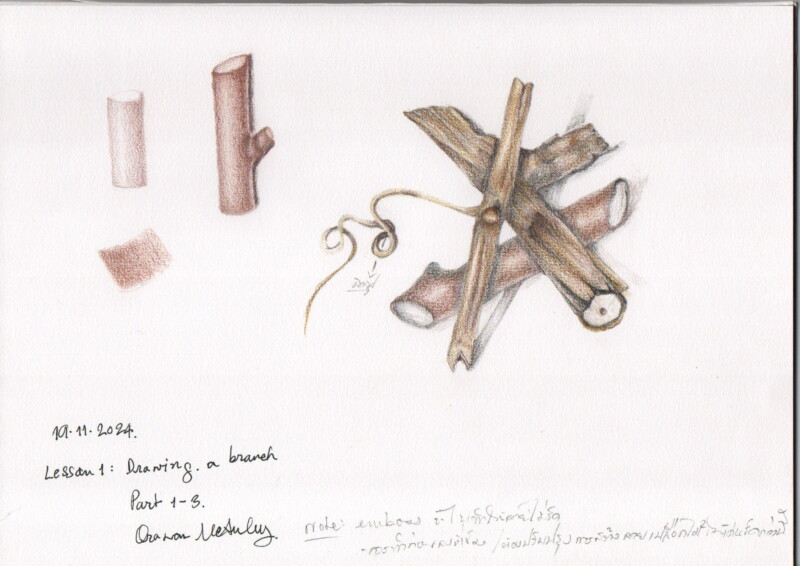 lesson-1-draw-branches