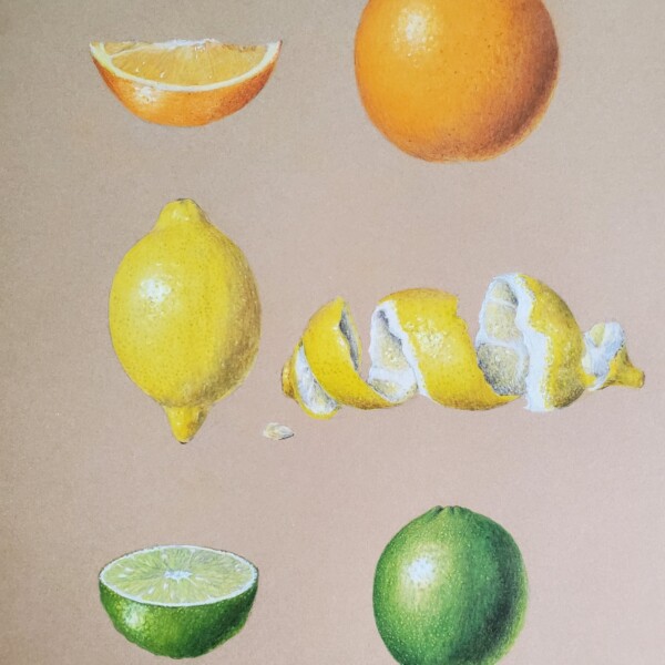 Citrus on Kraft Paper