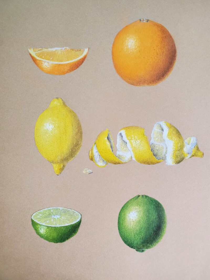 citrus-on-kraft-paper