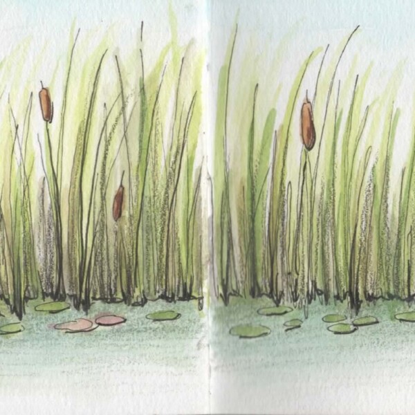 The Pond at Hollengold Farm