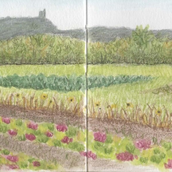 Tributary Farm sketch