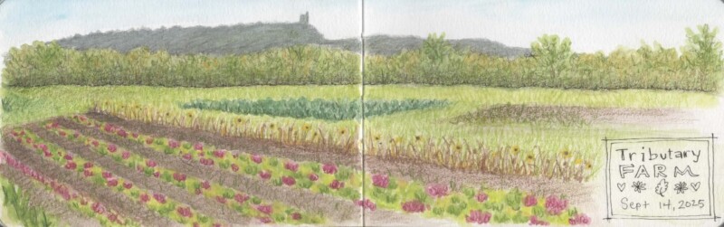 tributary-farm-sketch