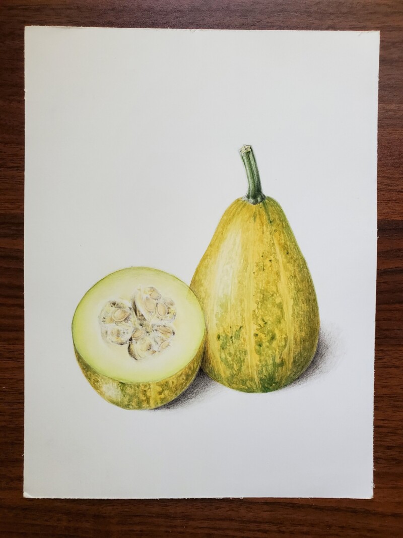 compost-squash