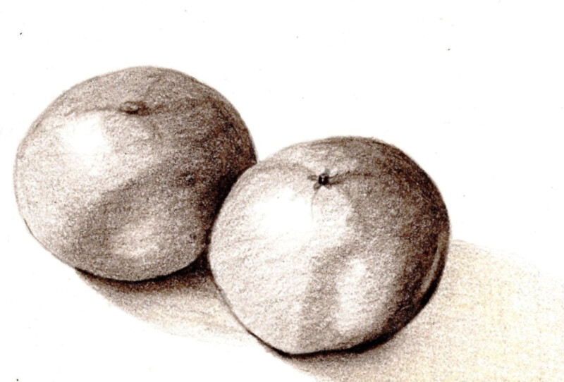 tomatoes-3