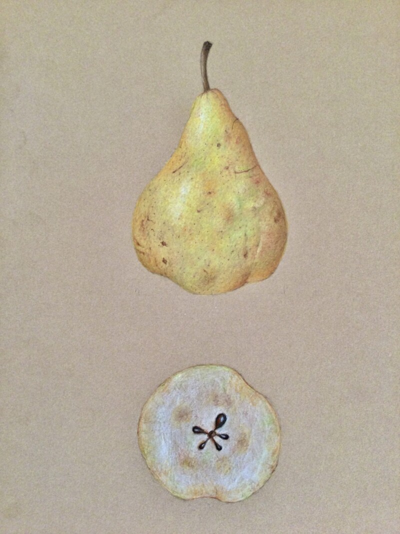 pear-on-kraft-paper