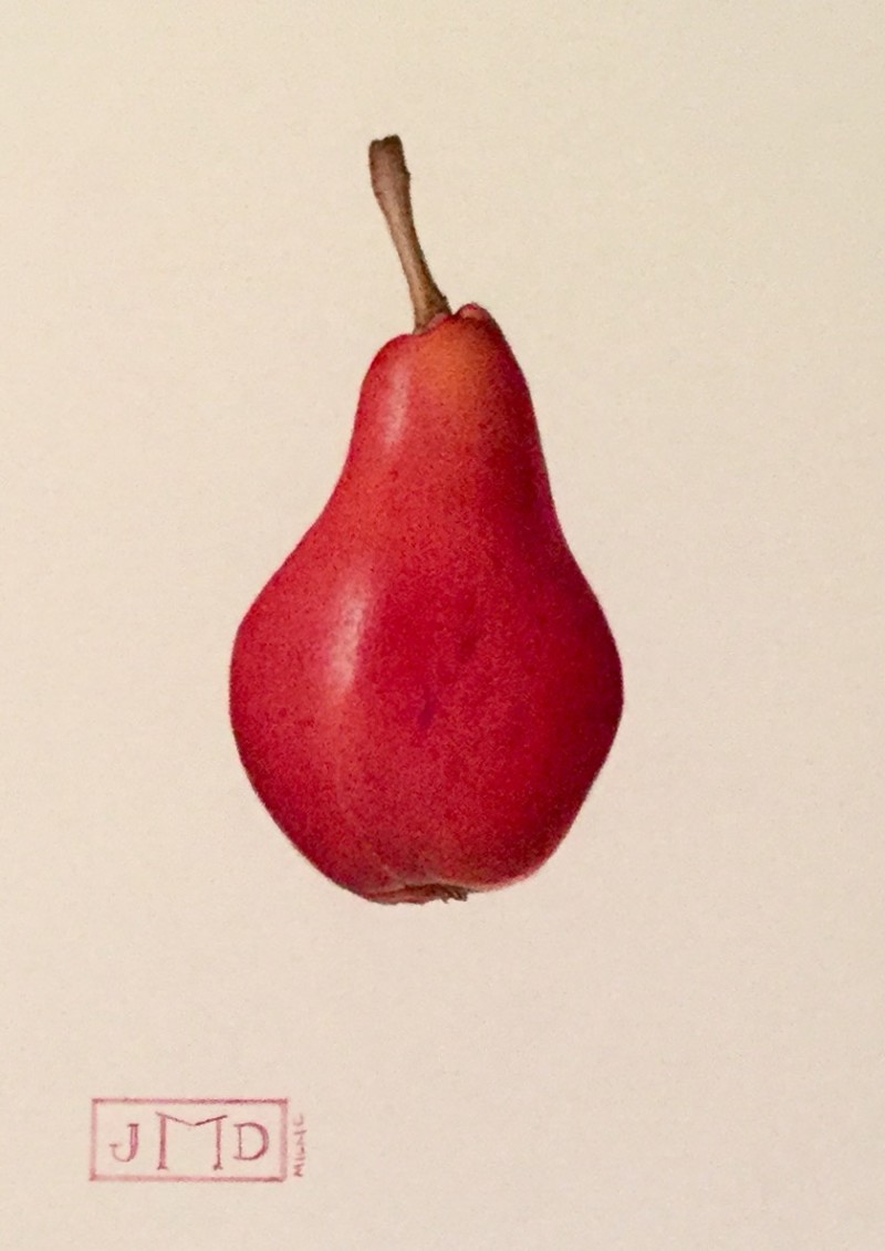 red-pear