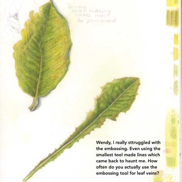leaves