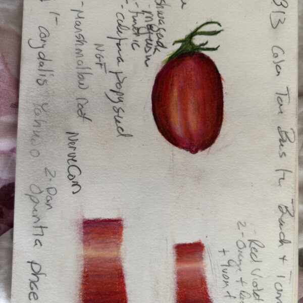BB13 tomato & tone bars