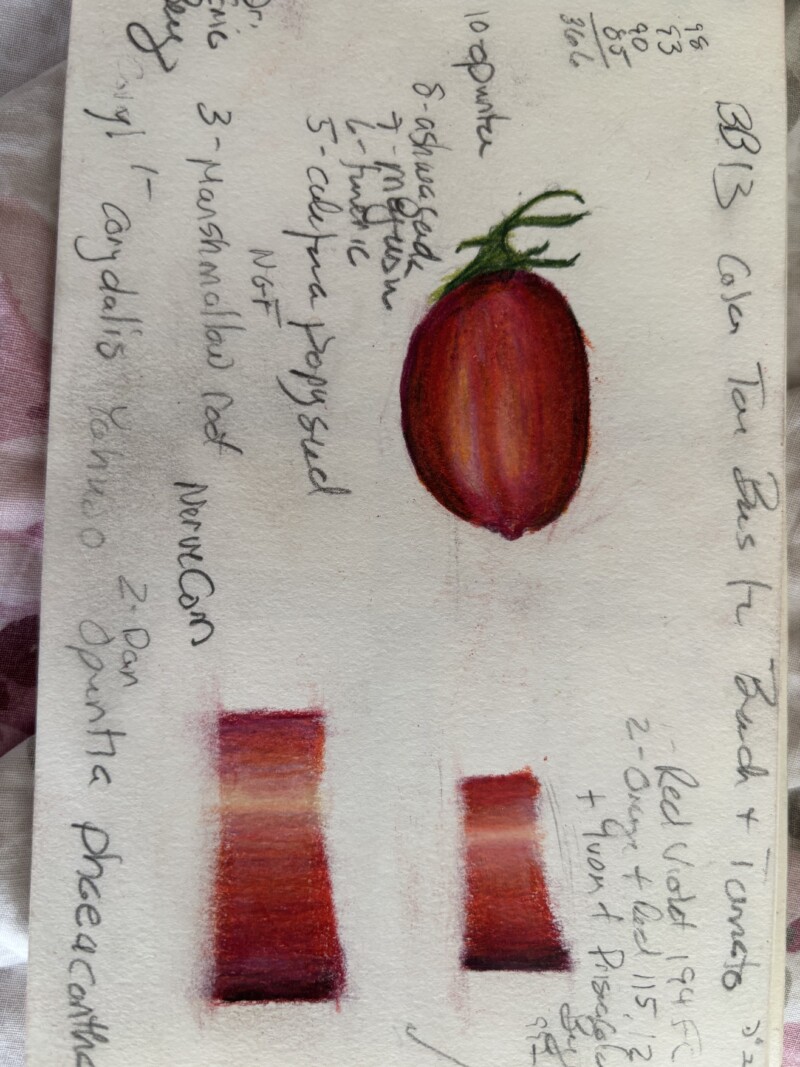 bb13-tomato-tone-bars-2