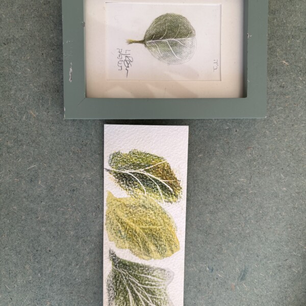 Indentation leaves